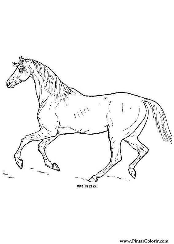 Desenho de Cavalo Hanoverian para colorir