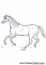 Pintar e Colorir Cavalos - Desenho 001