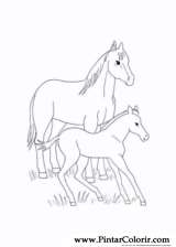 Pintar e Colorir Cavalos - Desenho 016