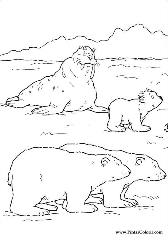 Pintar e Colorir O Ursinho Polar - Desenho 031