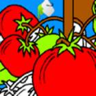 Tomates